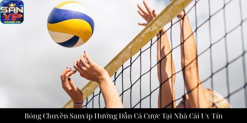 Bóng Chuyền Sanvip Hướng Dẫn Cá Cược Tại Nhà Cái Uy Tín