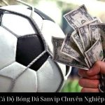 Hướng Dẫn Cá Độ Bóng Đá Sanvip Chuyên Nghiệp Và Hiệu Quả
