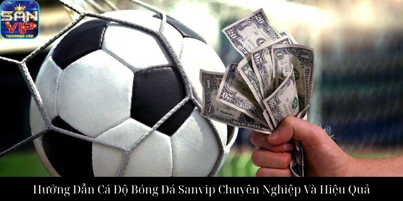 Hướng Dẫn Cá Độ Bóng Đá Sanvip Chuyên Nghiệp Và Hiệu Quả