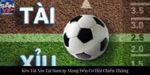 Hướng Dẫn Cá Độ Bóng Đá Sanvip Chuyên Nghiệp Và Hiệu Quả