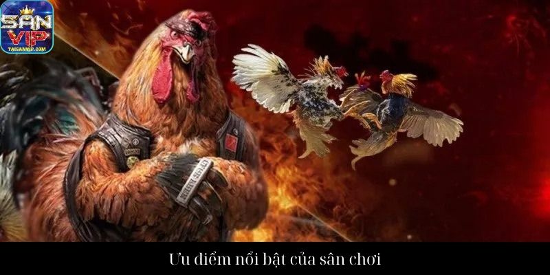Ưu điểm nổi bật của sân chơi